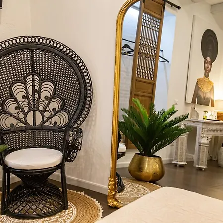 Guest house Amelia Apts &